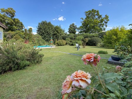 Blick in den Garten