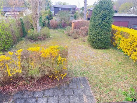 Blick in den Garten