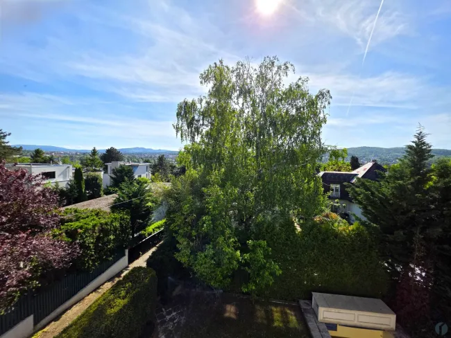 Ausblick
