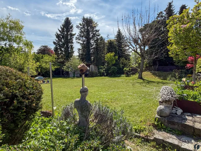 im Garten
