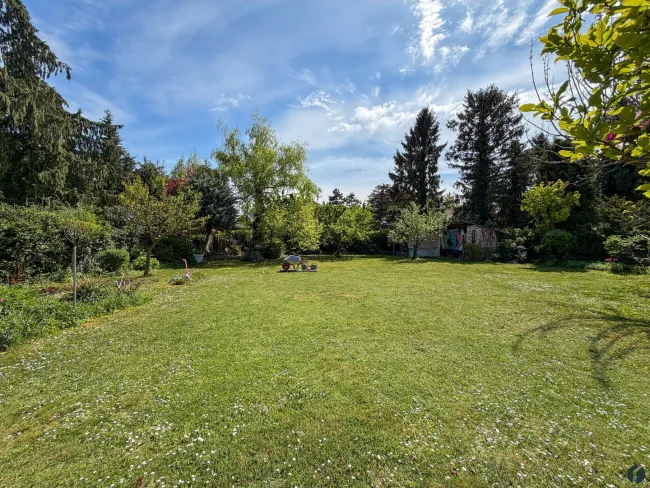 im Garten
