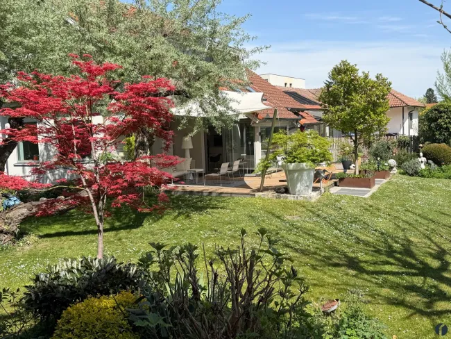 im Garten