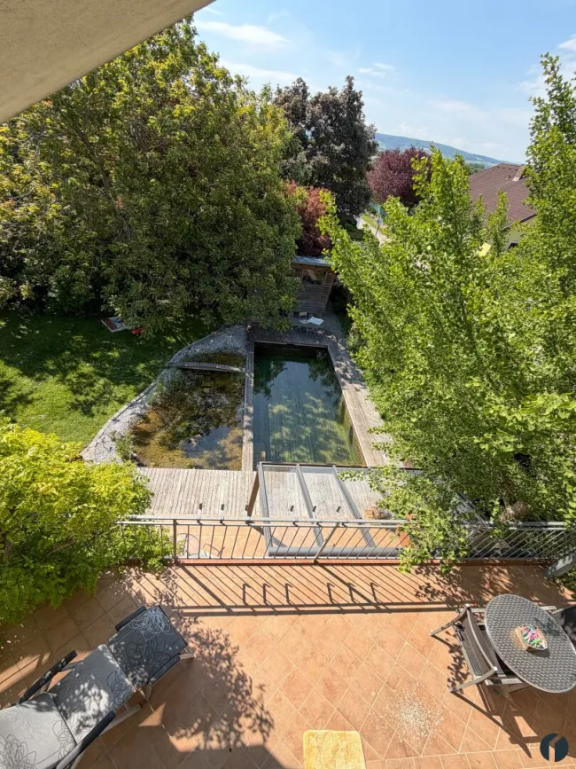 Blick in den Garten vom DG