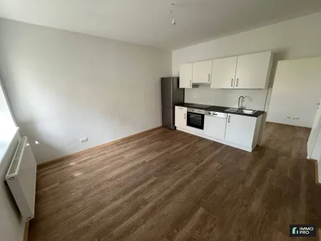 Sanierte 1,5-Zimmer-Wohnung in Trofaiach mieten