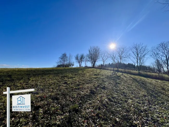 Sonniger Baugrund mit Fernblick im Südburgenland - Bild