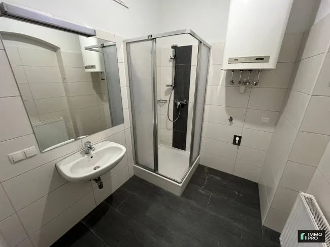 Sanierte 2-Zimmer Wohnung in Judendorf zu vermieten - Bild
