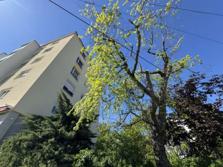 WUNDERSCHÖNE WOHNUNG IN GUTER HIETZINGER LAGE