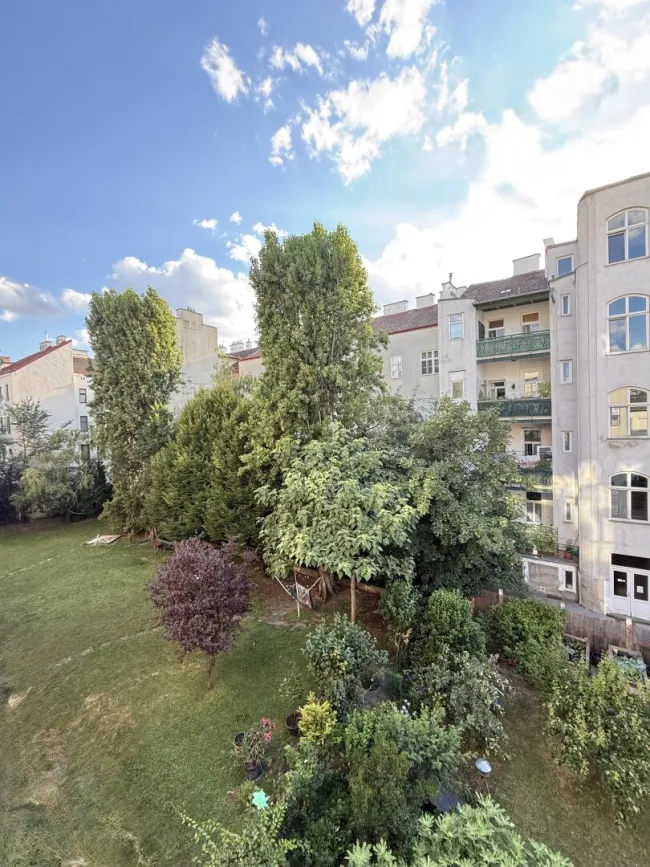 Blick zum Garten