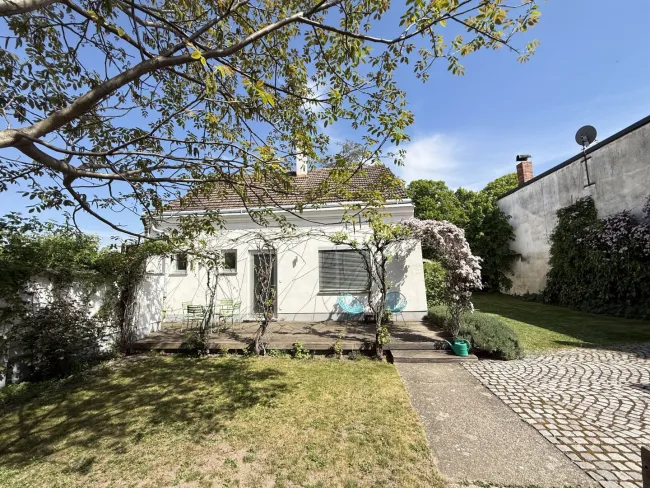 Blick zum Gartenhaus